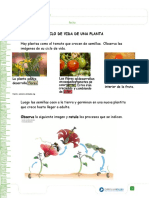 articles-25366_recurso_docx.docx