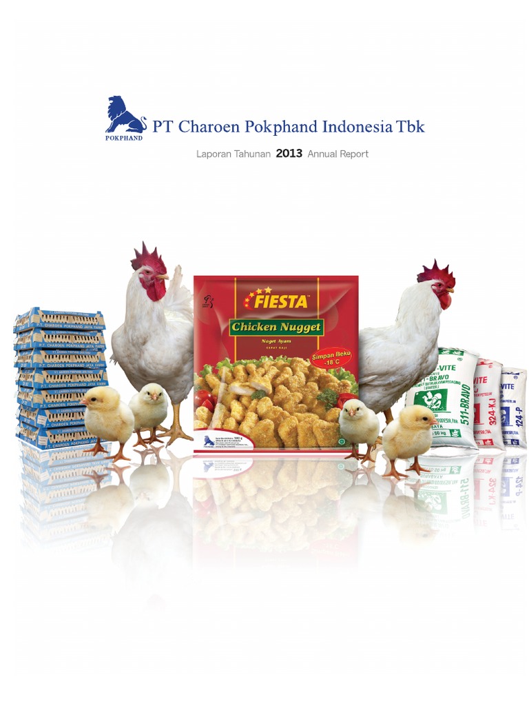 Annual Report Cpin 2013 | PDF