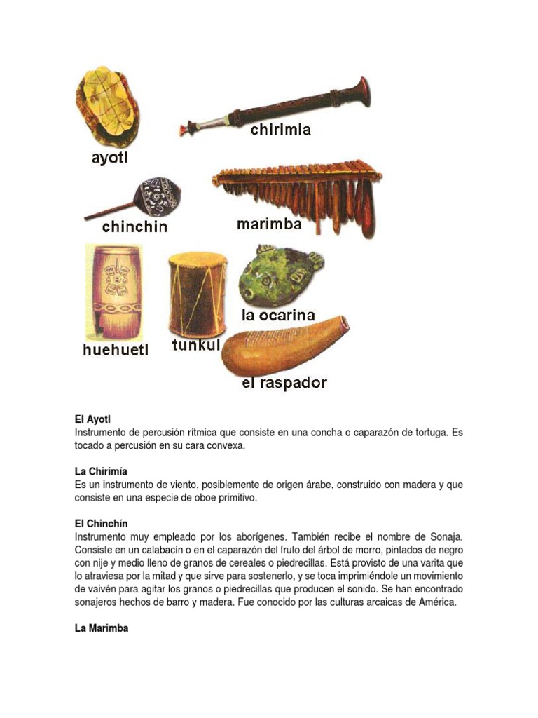 El Ayotl | PDF | Instrumentos musicales | Tecnología musical