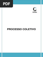 26. PROCESSO COLETIVO