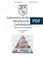 Pract Identificacion de Carbohidratos