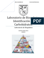 65839199-Pract-Identificacion-de-Carbohidratos.pdf