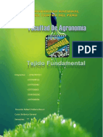 TEJIDO-FUNDAMENTAL-UNCP[1].docx