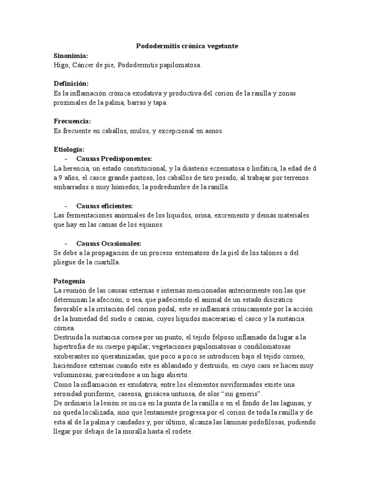 Pododermatitis en equinos: causas y tratamiento | PDF | Pie | Dolor