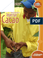 Aprendiendo A Injertar Cacao PDF
