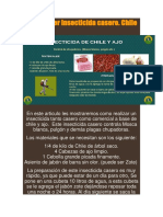 Insecticida casero Chile-Cebolla controla plagas