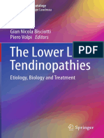 The Lower Limb Tendinopathies Etiology, Biology and Treatment-Springer International (2016)