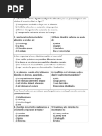 Prueba Sistema Digestivo y Nutricion