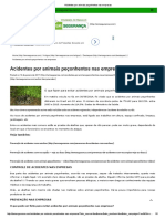 Acidentes Por Animais Peçonhentos Nas Empresas