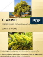 El Aromo