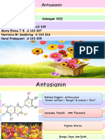 Antosianin