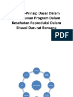 Prinsip-Prinsip Dasar Dalam Penyusunan Program Dalam Kesehatan Reproduksi