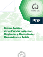 Sistema Juridico de Los Pueblos Indigenas PDF