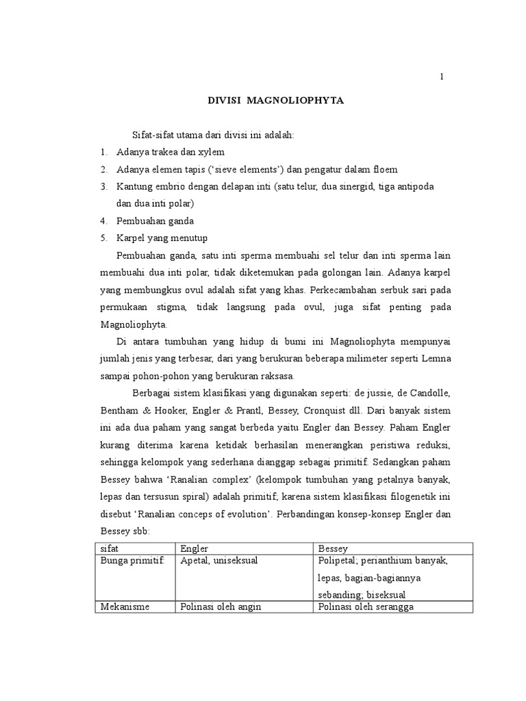 Magnoliophyta | PDF | Sains & Matematika