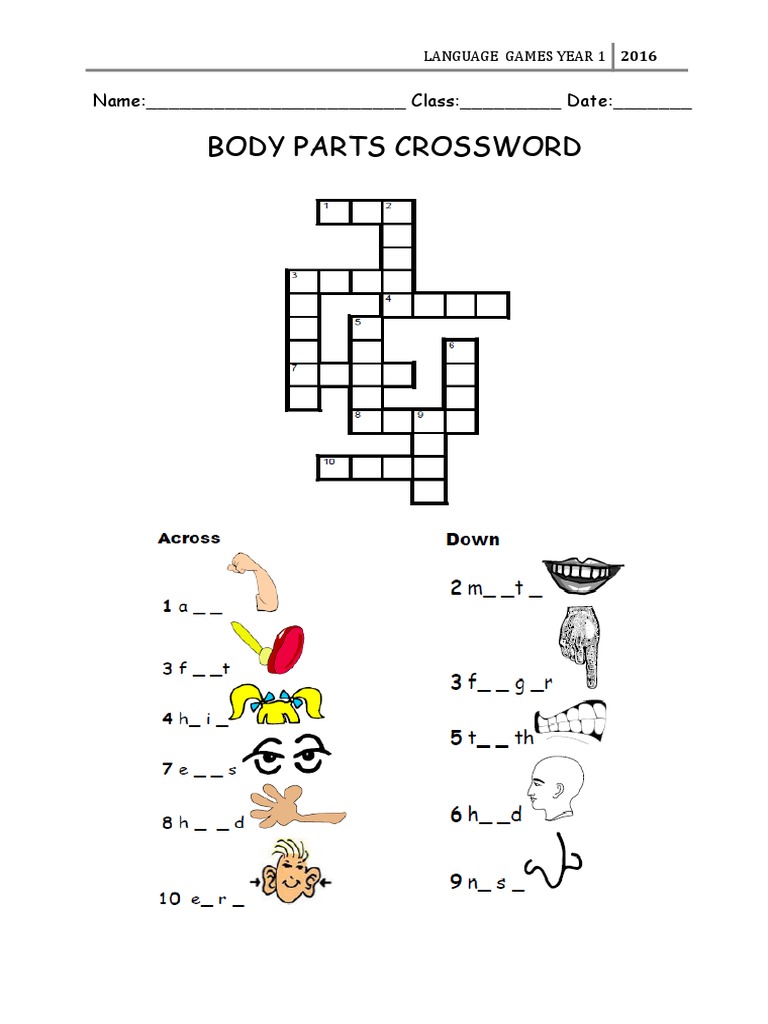 Body Parts Crossword Name Class Date PDF