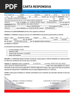 Carta responsiva y compra venta vehiculo  Business