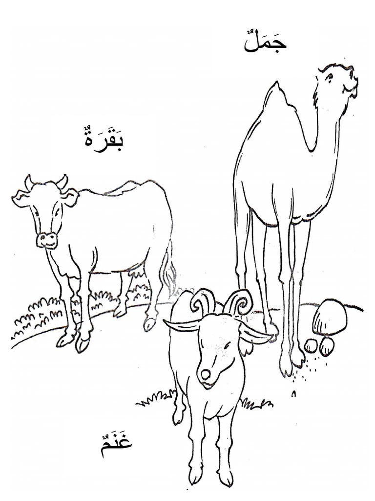 Latihan Bahasa Arab Kafa Tahun 3
