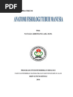 Anatomi Fisiologi Jantung Modul Praktikum Anatomi  Dan Fisiologi  Manusia lengkap