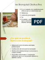 Sindrome Bronquial Obstructivo 1