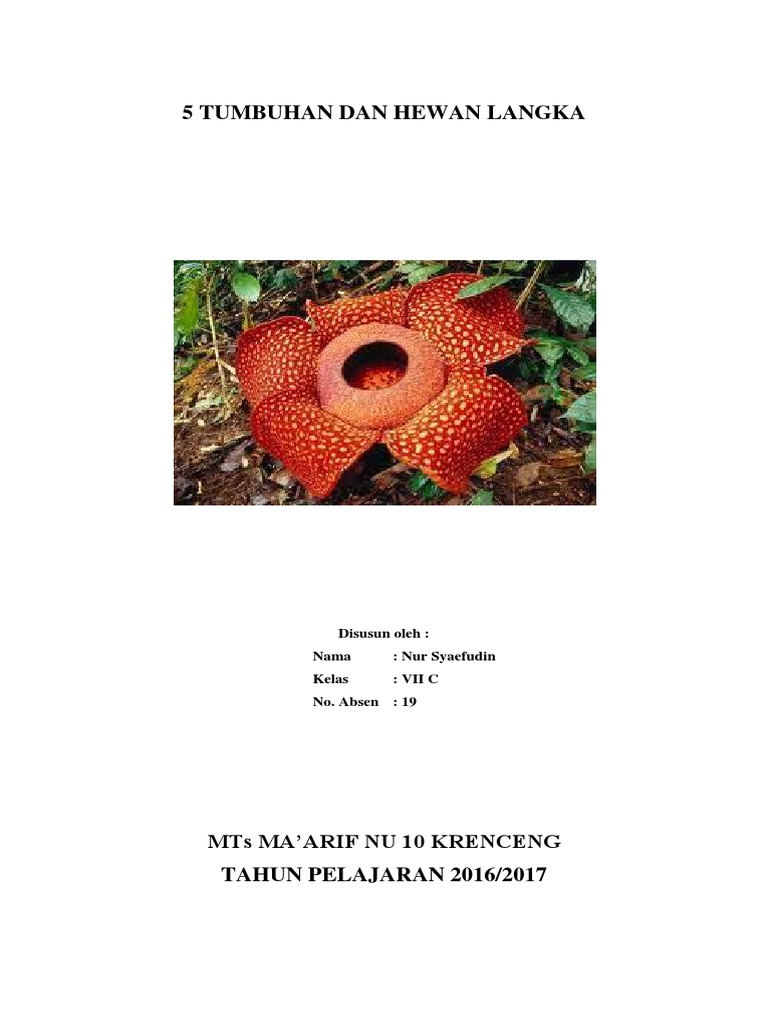 720 Gambar Poster Hewan Langka Dan Tumbuhan Langka HD Terbaik