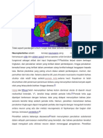 Neuroplastisitas