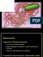 Salmonella