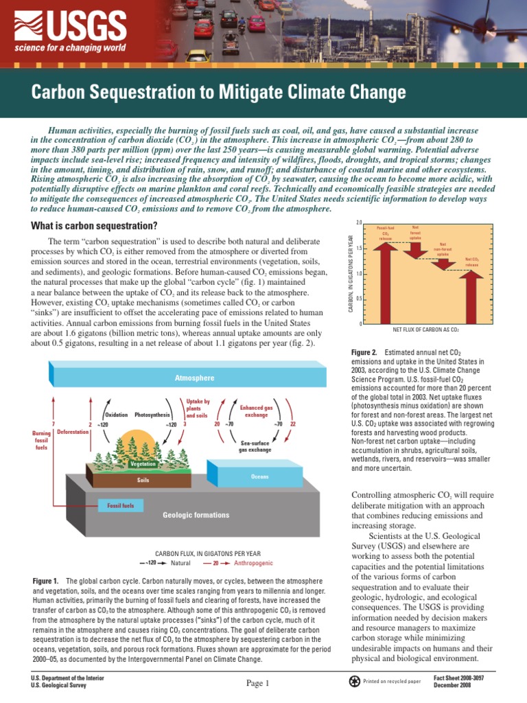Carbon Sequestration Strategies Explained | PDF | Carbon Sequestration ...