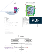 resumoglobalbiologia11_2.pdf