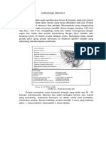 A - Rizki Wikantyasning - Carcinoma Prostat.docx