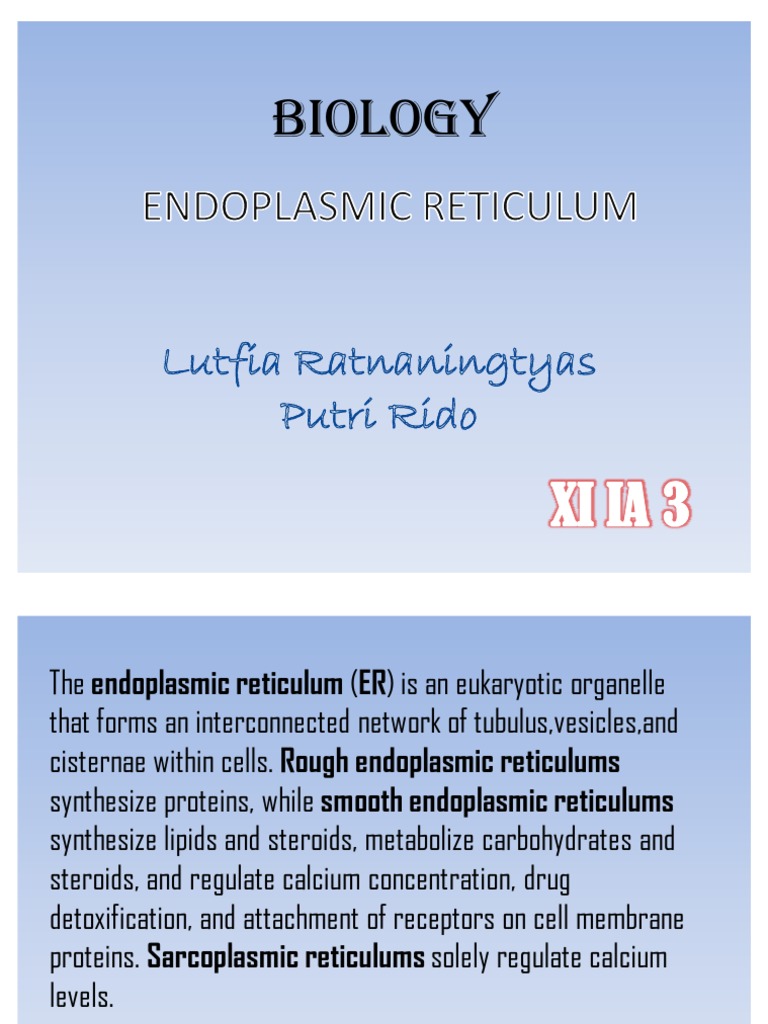 Detoxification By Endoplasmic Reticulum