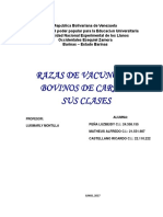 Razas de Vacunos de Bovinos de Carne y Sus Clases