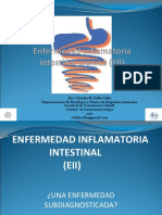 Presentacion_EII_cronica.ppt