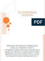 FACTIBILIDAD TECNICA.pptx