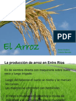 elarroz-111028182935-phpapp01.pptx