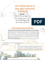 Impacto Ambiental en La Empresa Agro-Industrial POMALCA