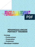 DIPT-10 Pengelolaan.ppt