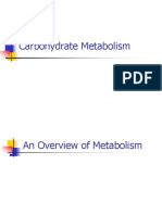 3 Metabolism of Carbohydrates 2