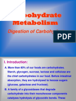 Carbohydrate Metabolism1