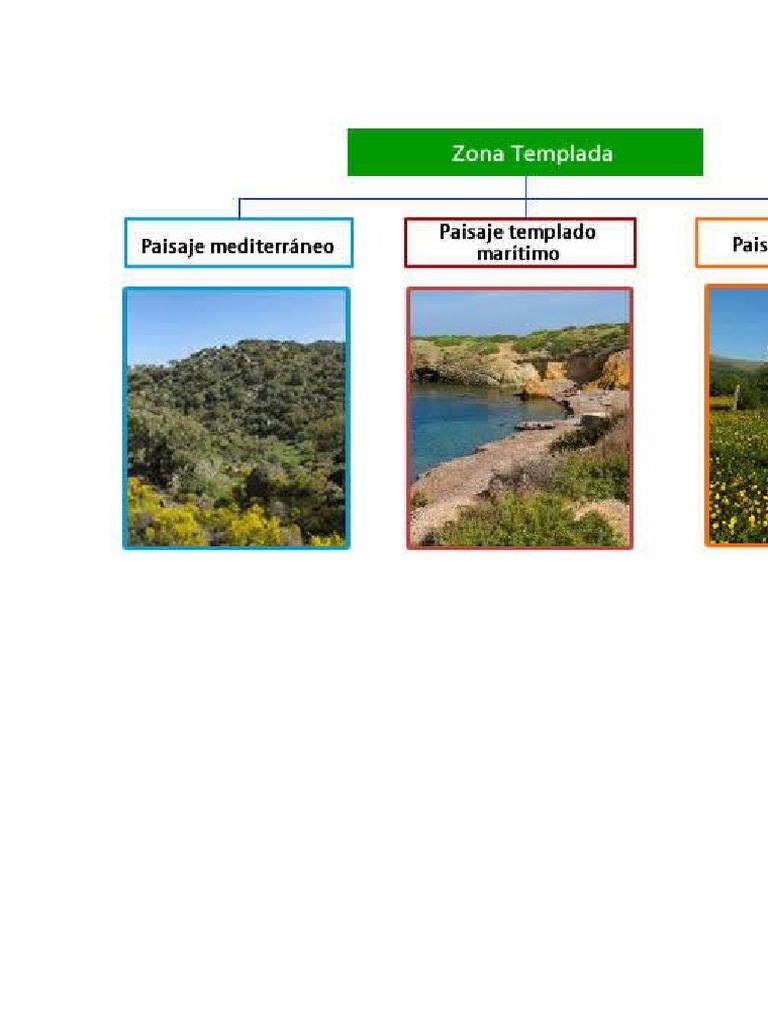 Paisajes de Zonas Templadas en Chile | PDF | Zona tropical | Clima templado