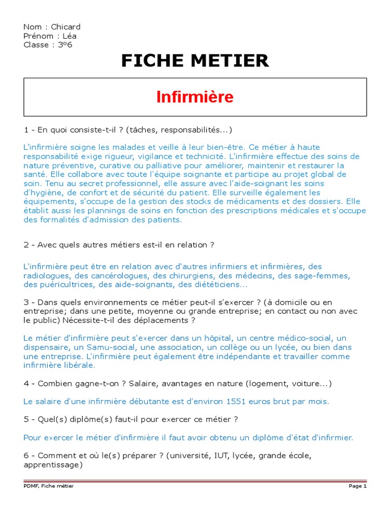 Fiche Metier Infirmiere Pdf Allaitement Soins De Sante