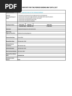 Progress Report - Thomazo Bridge 09.06.17