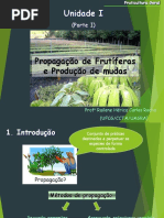 Propagação de Fruteiras (1).pdf