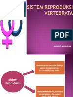 Sistem reproduksi  vertebrata.pptx