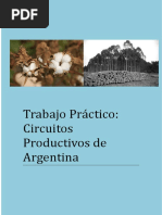 Download Trabajo Practico Circuitos Productivos de Argentina  Nayla Gonzalez 5B by NAYLA SN351084611 doc pdf