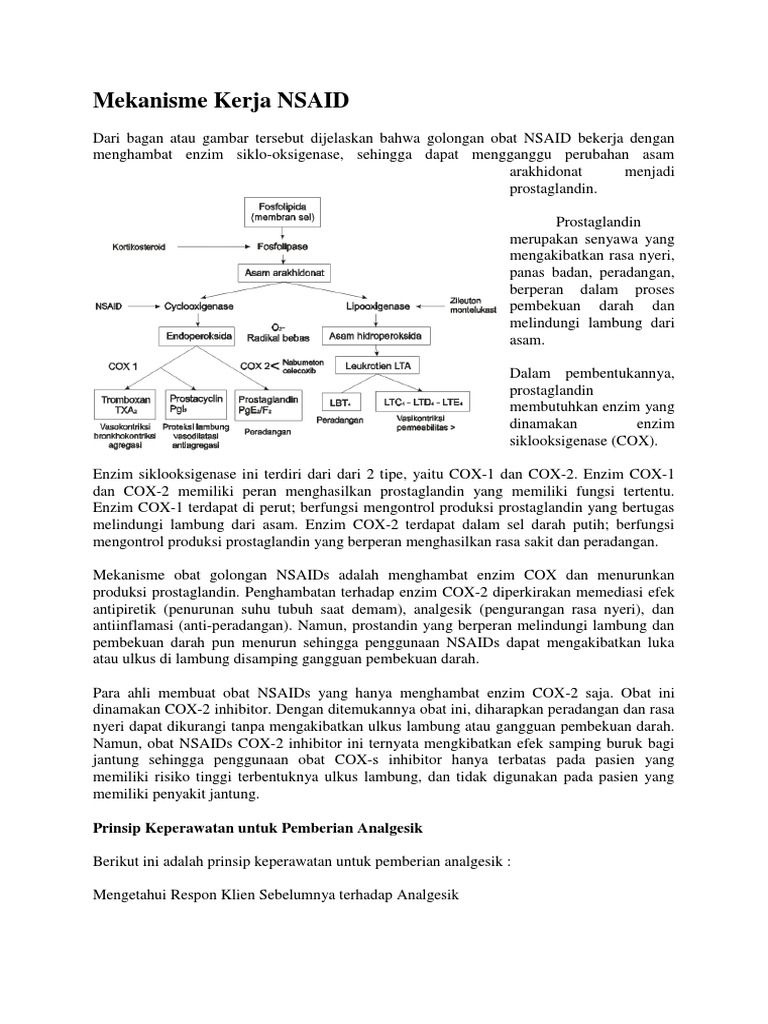 Mekanisme Kerja NSAID