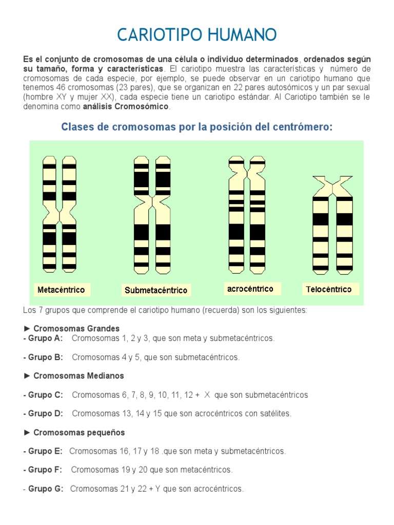 CARIOTIPO HUMANO