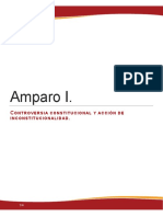 Acción de inconstitucionalidad y controversia constitucional.