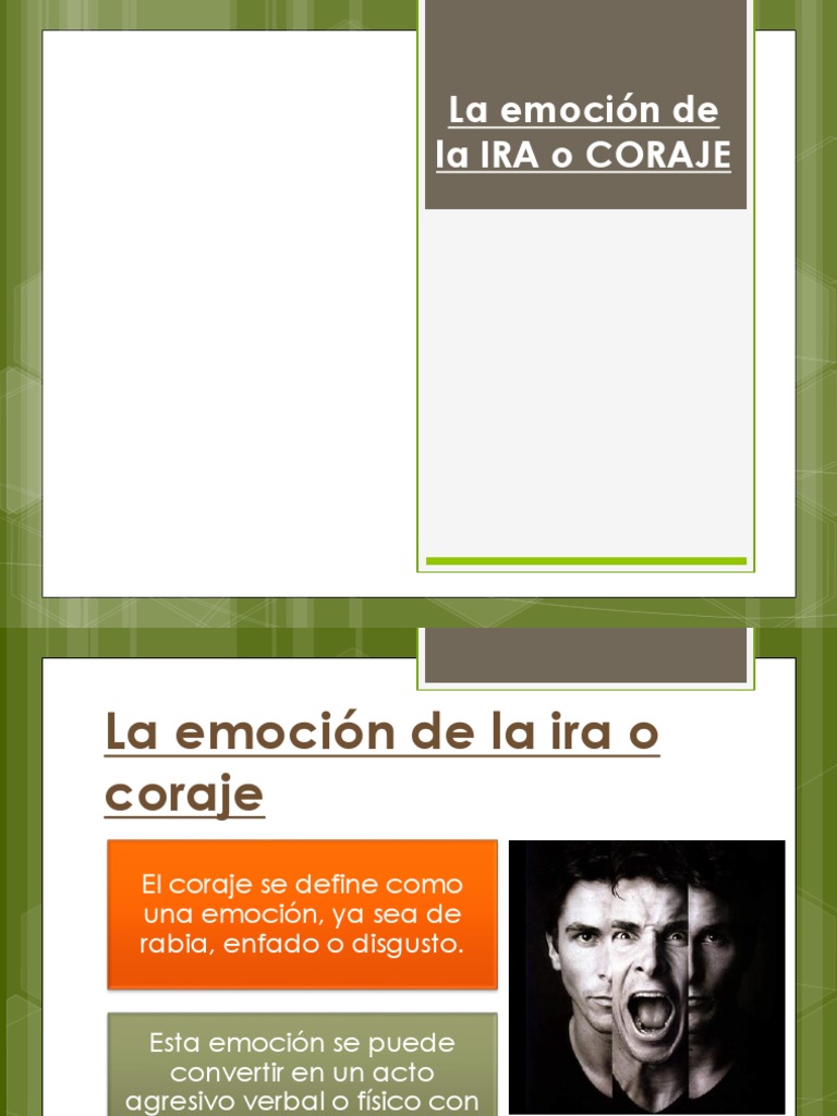 Manejo de la ira y el coraje emocional | PDF | Ira | Las emociones