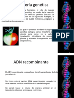 ingenieragentica