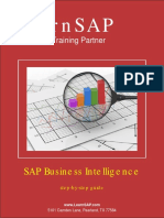 SAP Business Intelligence Guide.pdf